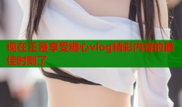 现在正是享受糖心vlog精彩内容的最佳时刻了